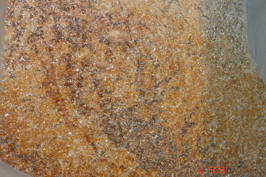 DSC04142-1030x687-1