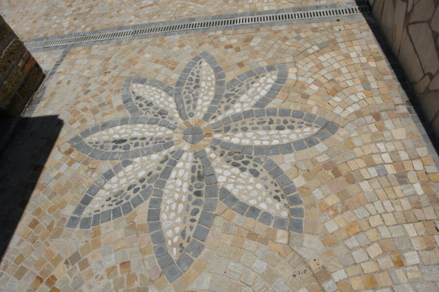 DSC04450-1030x687-1