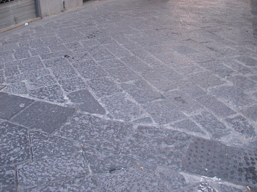 DSCN0095