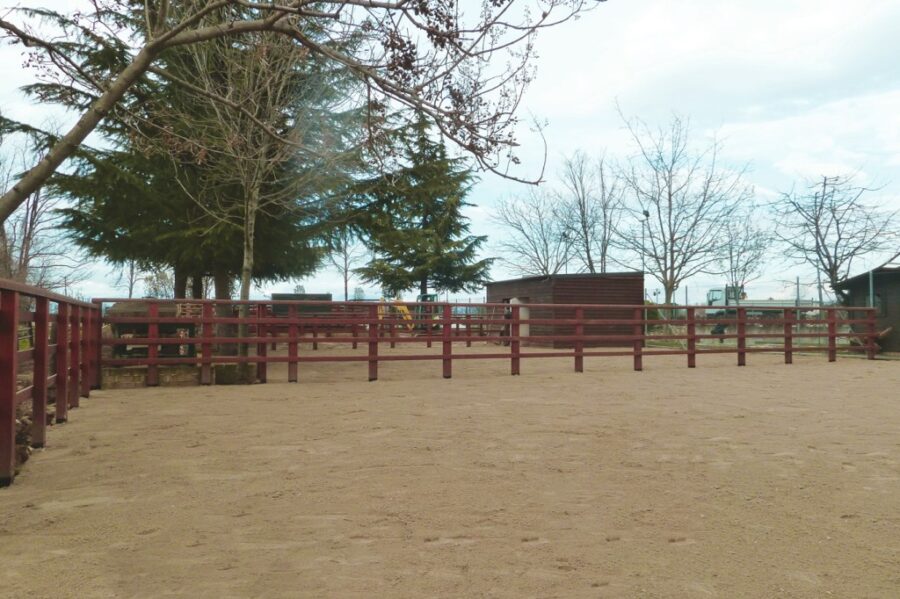 consolidamento-sottofondi-equestri-daliform-1024x682-1