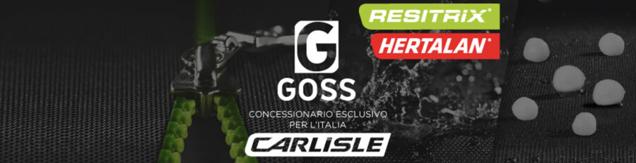 banner-edibim